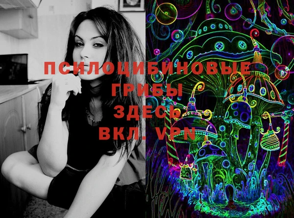 ешки Гусь-Хрустальный