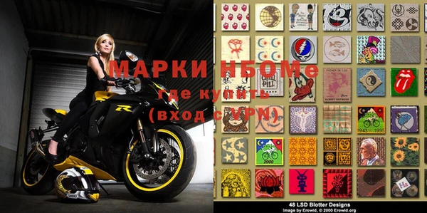 индика Горно-Алтайск