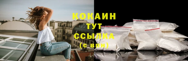 индика Майский