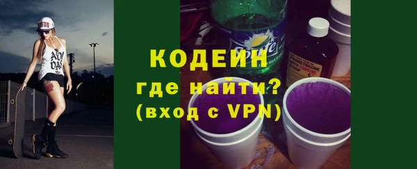 индика Горно-Алтайск
