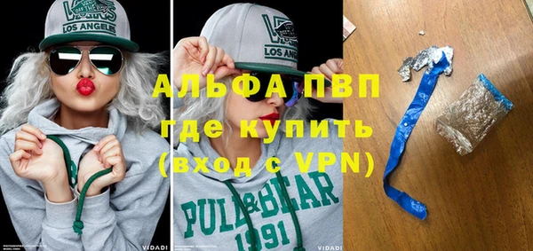 индика Горно-Алтайск