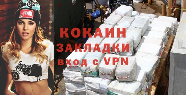 индика Горно-Алтайск