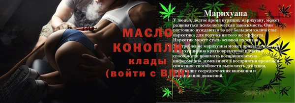 индика Горно-Алтайск