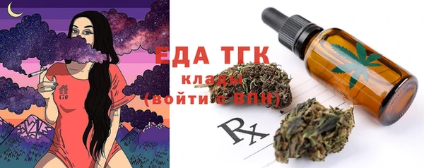 индика Горно-Алтайск