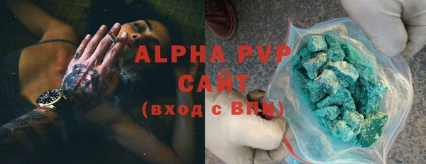 индика Горно-Алтайск