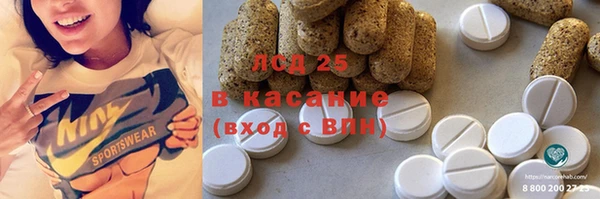 индика Горно-Алтайск